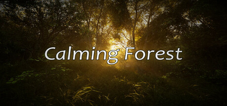 Calming Forest artwork